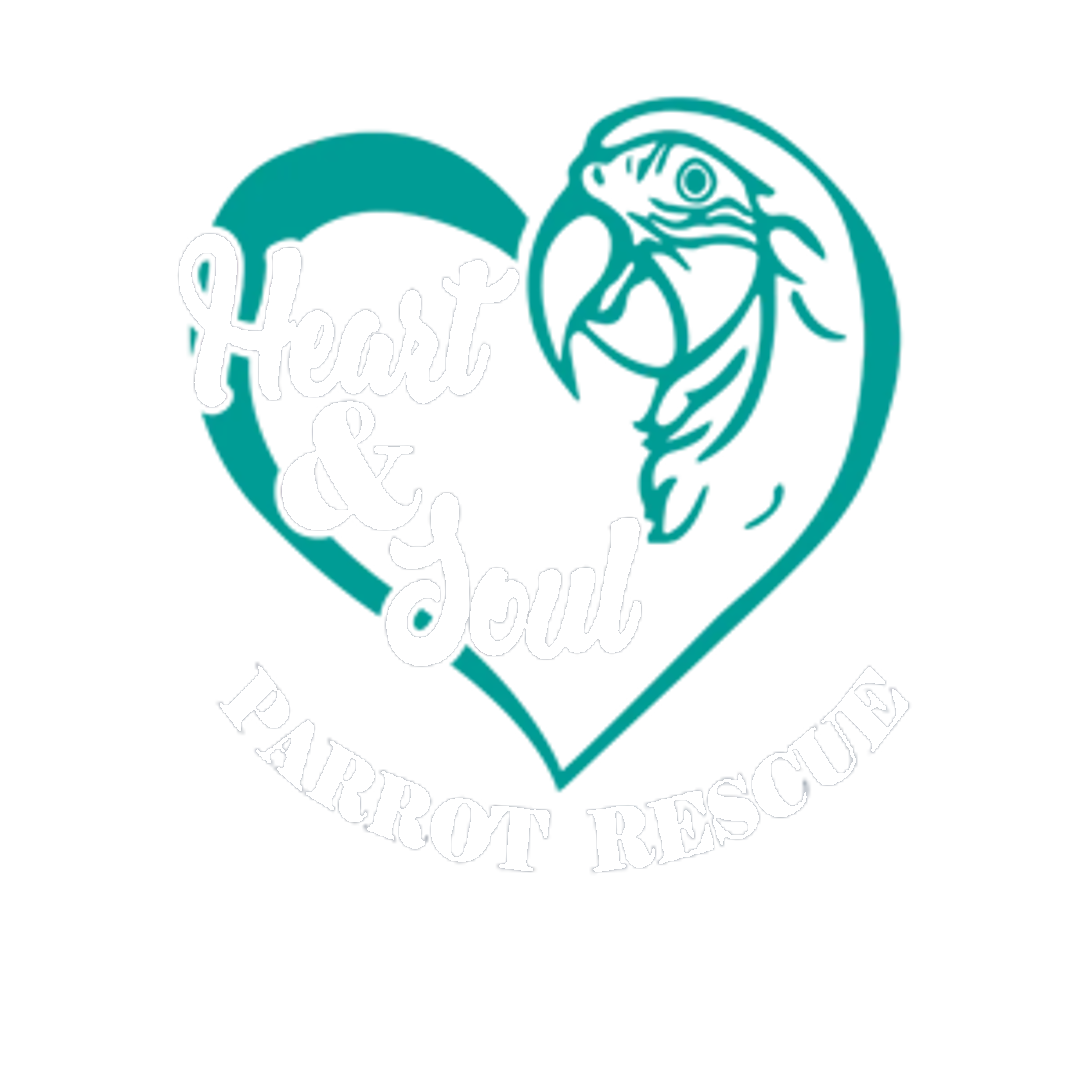 Heart and Soul Parrot Rescue